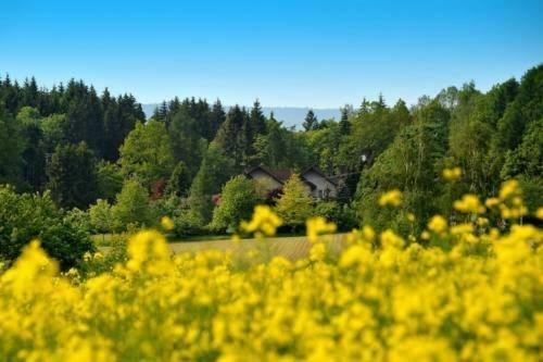 Altes Forsthaus Goseplack Ξενοδοχείο Hardegsen Εξωτερικό φωτογραφία